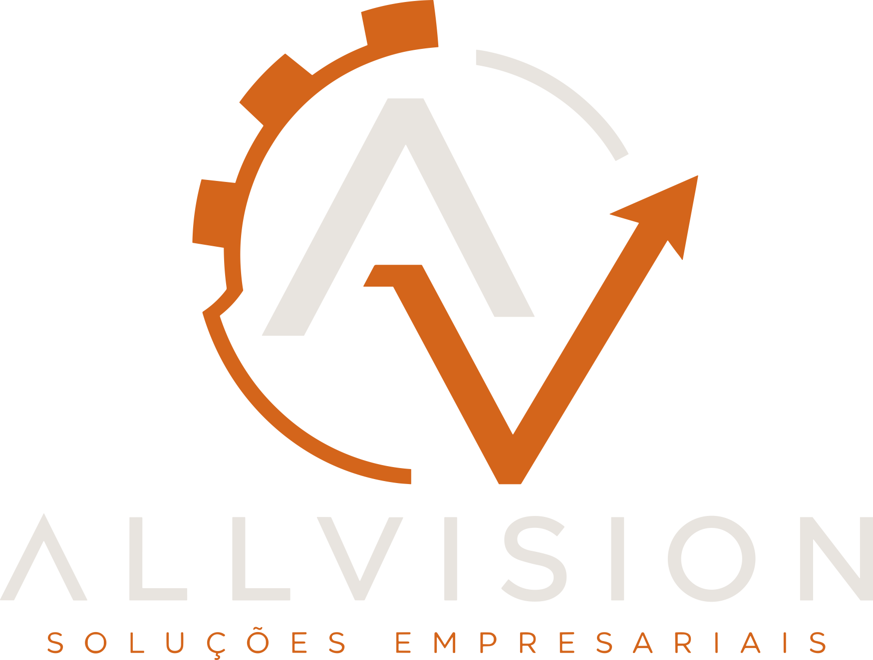 All Vision Soluções Empresariais